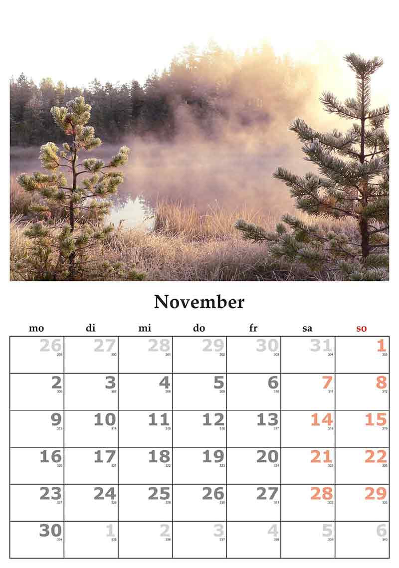 days in november